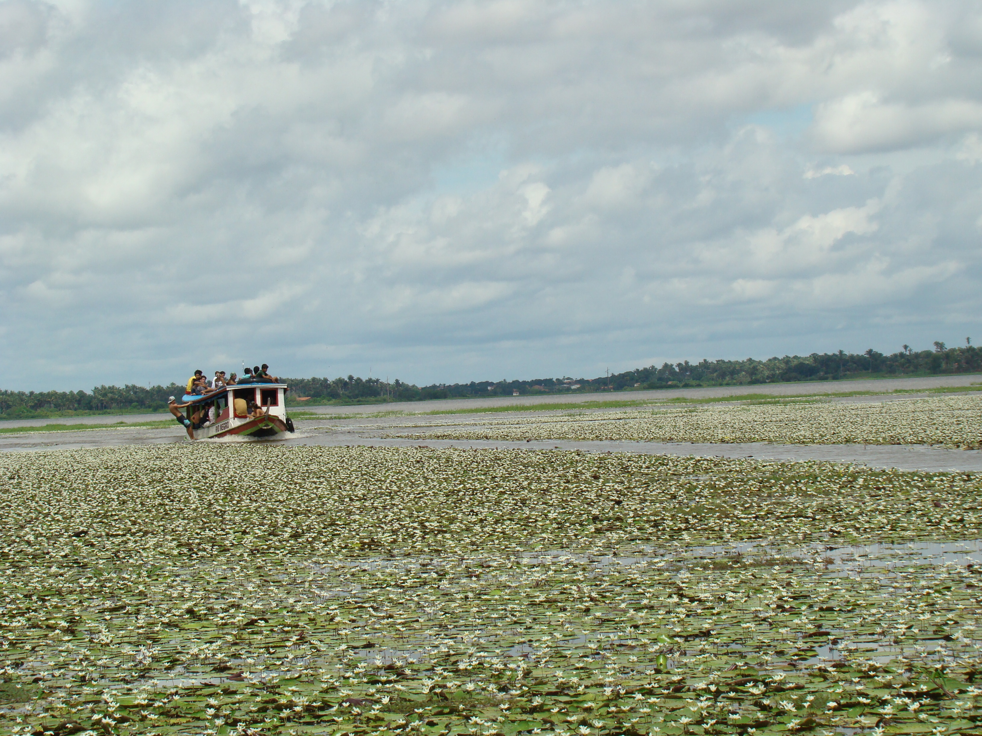 Baixada Maranhense